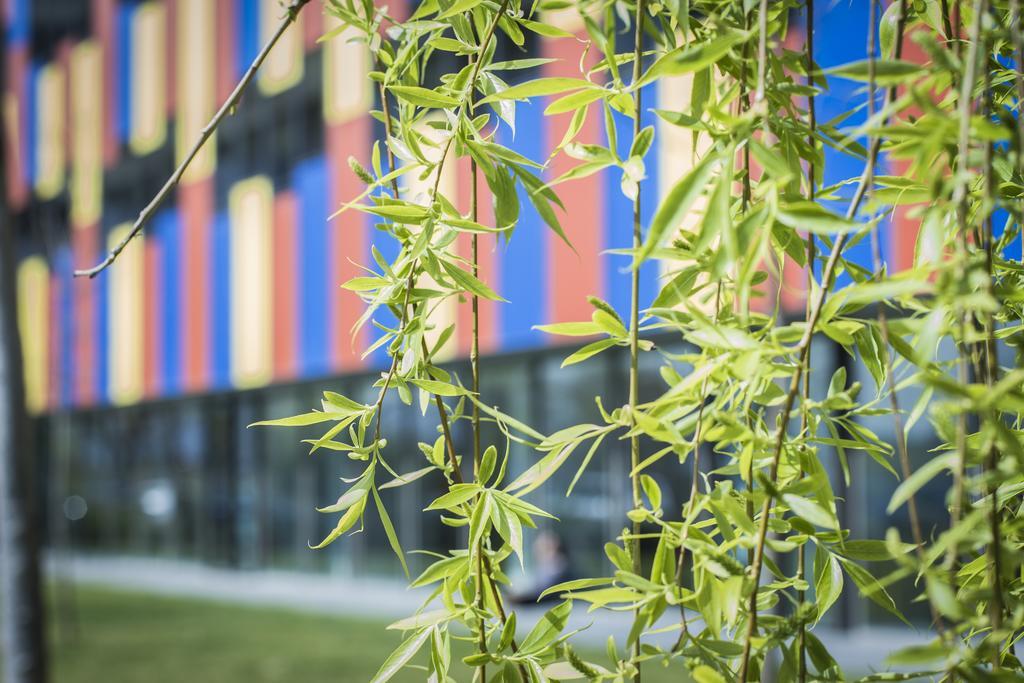 Centre Esplai Albergue El Prat de Llobregat Ngoại thất bức ảnh